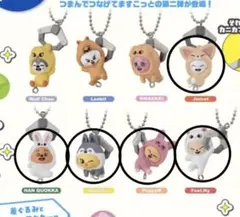 SKZOO ガチャ つまんでつなげてますこっと