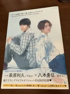 TVドラマ&劇場版「美しい彼」公式ビジュアルブック