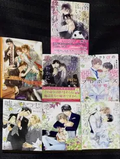 BL小説 7冊セット　間之あまの　手嶋サカリ　他