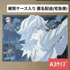 鬼滅の刃 ufotableカフェ 非売品 A3ランチョンマット/水柱・冨岡義勇