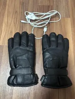 電熱グローブ バイク USB給電 ブラック