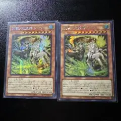 2026年最新】天雷ノ双風神 シーナの人気アイテム - メルカリ