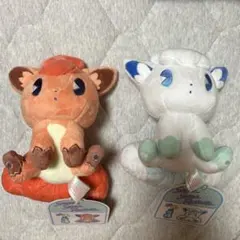 ポケモン ローカル Acts 物産展 ぬいぐるみ ロコン アローラロコン 未