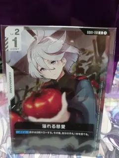 ガンダムカードゲーム 溢れる慈愛 プロモ ニュータイプチャレンジ 未開封