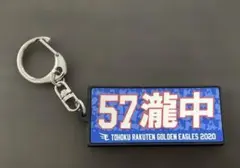 Item thumbnail for item f15b203e-3a5b-4eff-95be-ea174792bd8d