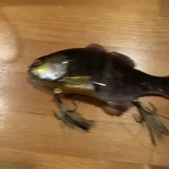 JACKALL GIGANTAREL ビッグベイト