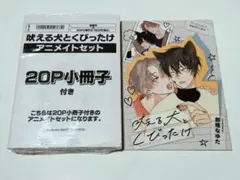 Item thumbnail for item 08b0e8d7-4e0b-4211-a052-408b7a21adb2