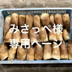 京都産　報恩寺筍　2キロ