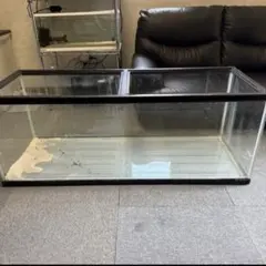 2025年最新】大型タンク・池の人気アイテム - メルカリ