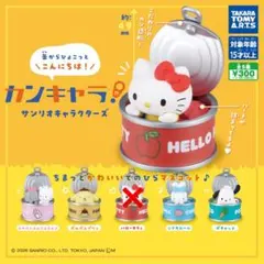 【新品】サンリオキャラクターズ　カンキャラ！