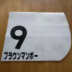 2026年最新】東京競馬場 ゼッケンの人気アイテム - メルカリ