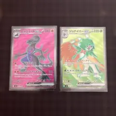 ポケモンカード　ジュナイパーex エンニュートex