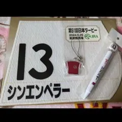 2025年最新】ゼッケン ダービーの人気アイテム - メルカリ
