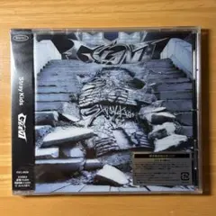 Stray Kids GIANT 未開封③