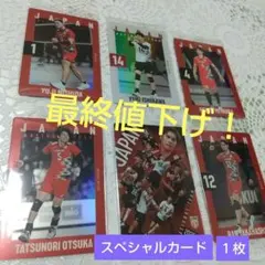 男子バレーボール 日本代表選手カードセット スペシャルカード有り！
