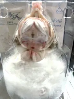 スカルパンダ the feast begins フレグランス　サシェ　ペンダント