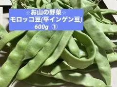 ⭐︎モロッコ豆(平インゲン豆)600g ①のサムネイル