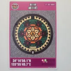 Item thumbnail for item 3e73b649-17d9-46c2-9698-e52a1394d534