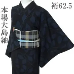 2025年最新】泥染大島紬の人気アイテム - メルカリ