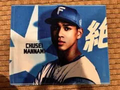 【メッセージタオル】 日本ハムファイターズFAV限定 万波中正 エスコン