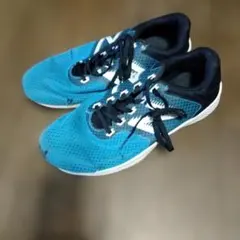 Item thumbnail for item 3f28cebf-37d0-4ebb-869b-bc478fe36d4b