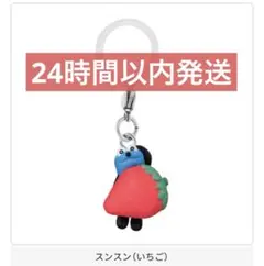 PUPPET SUNSUN めじるしアクセサリー　スンスン(いちご)