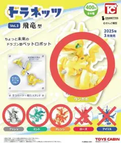 ドラネッツ Vol.3 飛竜型 4種セット ガチャ