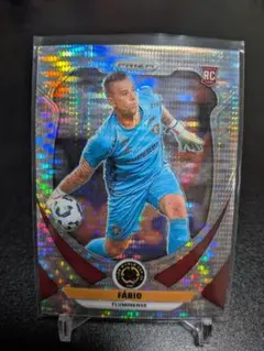 FÁBIO FLUMINENSE RC No. 59