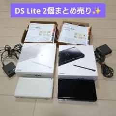 Nintendo DS Lite ホワイト ブラック 2台セット