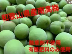 2.和歌山県産　南高梅　Lサイズ　3キロ　送料込み