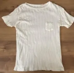 最終価格ヤングアンドオルセン 半袖Tシャツ リブデザイン 2サイズ オフホワイトのサムネイル
