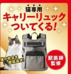 ✨新品未開封✨ねこのきもち2026年3月号付録 キャリーリュック 即購入OKのサムネイル