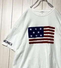 美品 EVOLUTION エボリューション Tシャツ 半袖 星条旗 ロサンゼルス