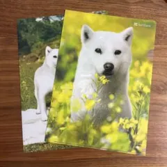 SoftBank ソフトバンク　お父さん犬　犬　クリアファイル　A4