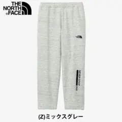 ノースフェイス　ネバーストップING　パンツ　Mサイズ