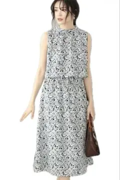 Item thumbnail for item 2a0eda48-11ba-4397-8461-f1582fac9c32