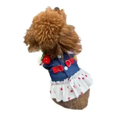 犬用ハーネス一体型ワンピース デニム風 いちご柄のサムネイル