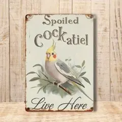 Item thumbnail for item 5e9d1644-2667-40b6-9b8d-d9c7f04f93a0