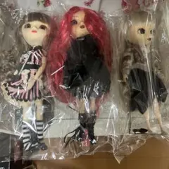 プーリップ フリュール サクラリタ コルニーチェ