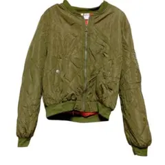 Item thumbnail for item 5a198e4f-1e17-4079-a7f0-a9c39b9aa53a