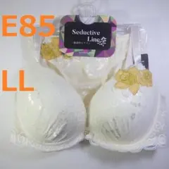 【E85/LL】ブラ・ショーツセット★2点以上で各200円引き★50423021