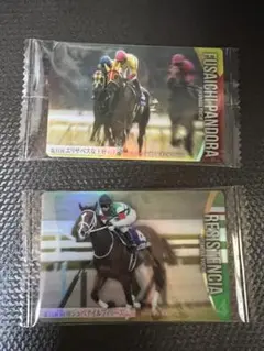 サラブレッドホースコレクション　第3弾　カード　２枚セット