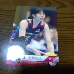 Item thumbnail for item 8ed09870-41b8-4f77-9cb0-627f462dd201