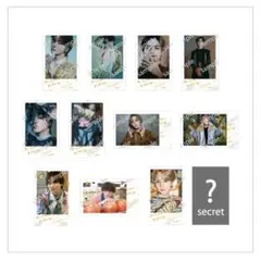 吉野北人 HOKUTO ポロライド風カード 11種セット