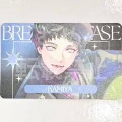 cerulean@オーダー⭕️プロフ確認様 リクエスト 3点 まとめ商品