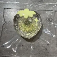 RIAm様 リクエスト 2点 まとめ商品