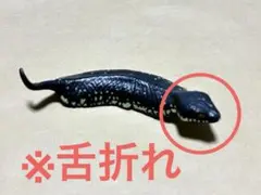 2026年最新】チョコエッグ シークレット ツチノコの人気アイテム