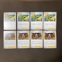 ナタネの活気　ツツジ　ポケモンカード　女性サポート