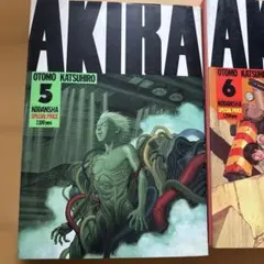 Item thumbnail for item ada065b5-306c-43de-b54f-57a03b300c92