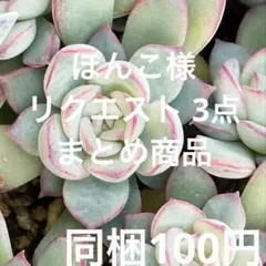 ぽんこ様 リクエスト 3点 まとめ商品